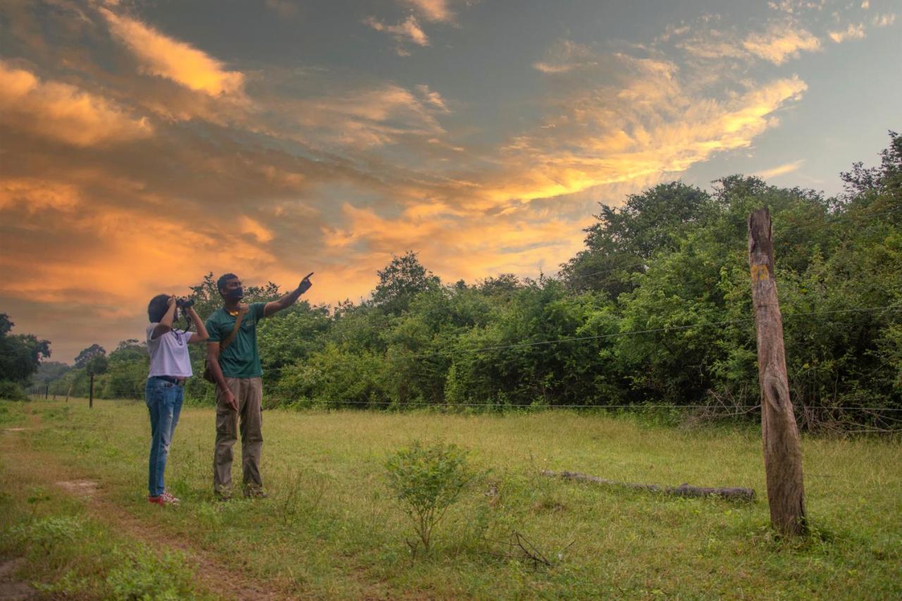 Big Game Udawalawe - By Eco Team Hotel Buitenkant foto