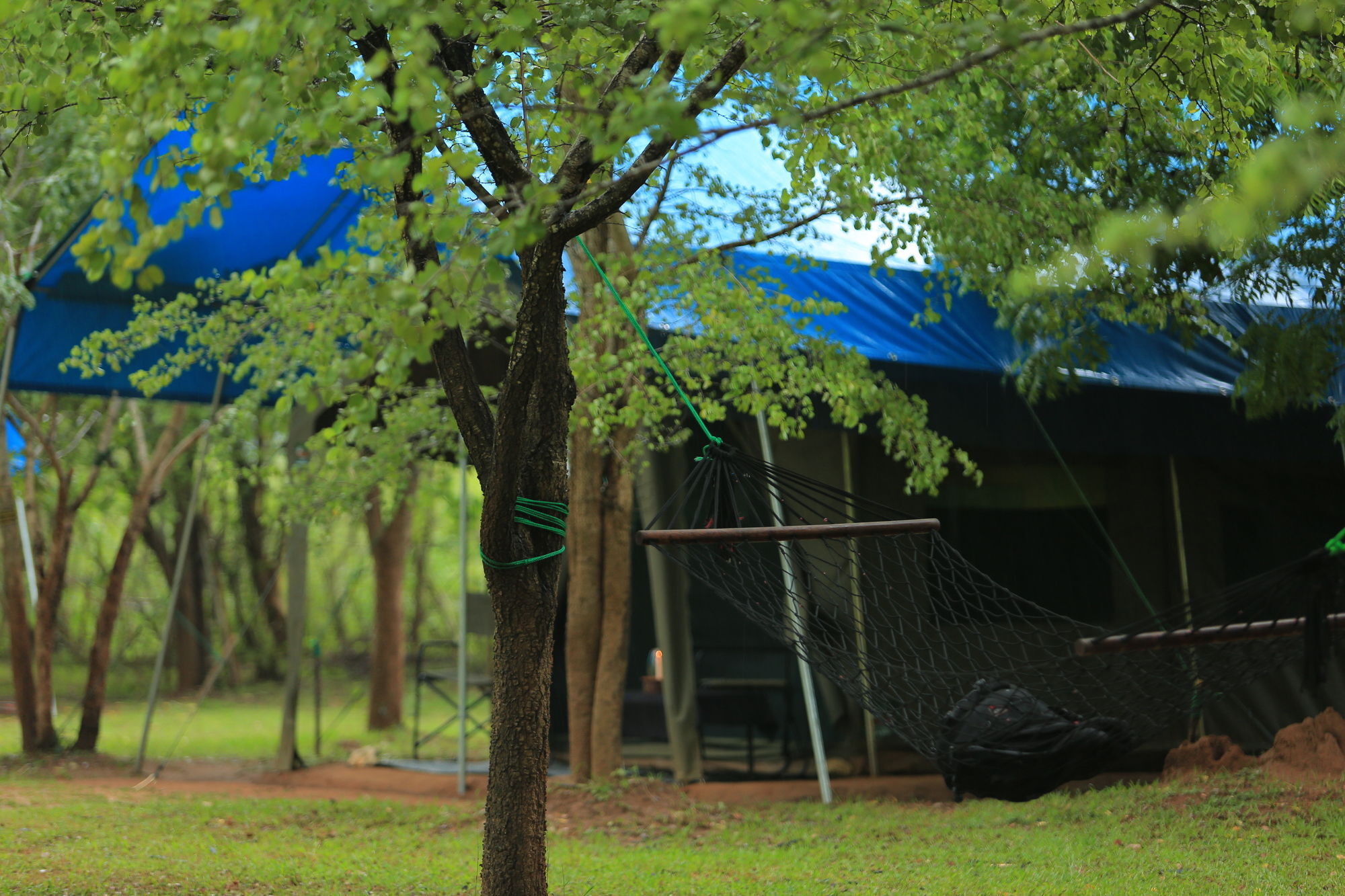 Big Game Udawalawe - By Eco Team Hotel Buitenkant foto